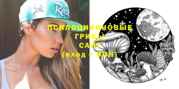 крисы Новозыбков