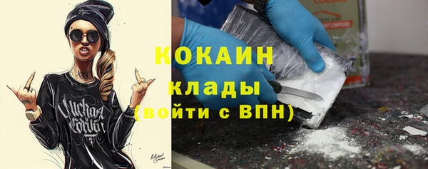 тгк Новодвинск