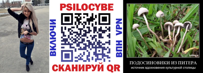 Псилоцибиновые грибы GOLDEN TEACHER мориарти какой сайт Балтийск где можно купить kraken ONION
