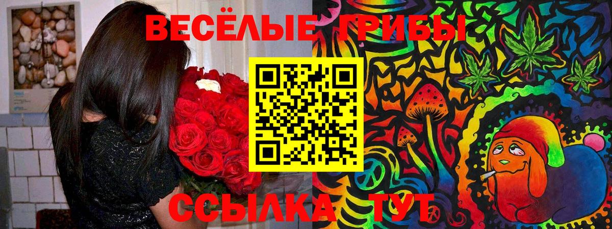Псилоцибиновые грибы Psilocybine cubensis  Псилоцибиновые грибы мухоморы  Вход с VPN  Балтийск 